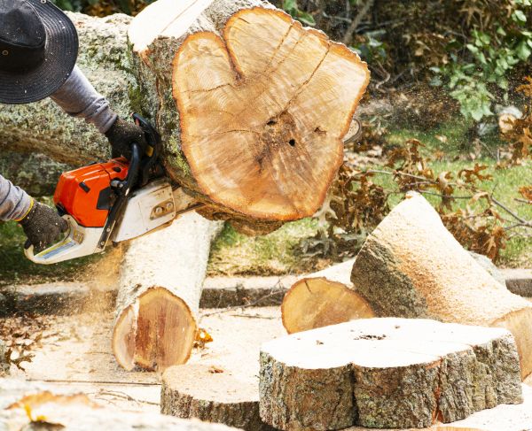 Grow your Tree Cutting business