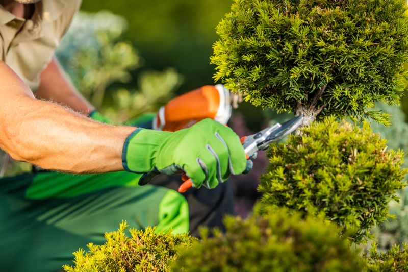 Licensed Landscapers